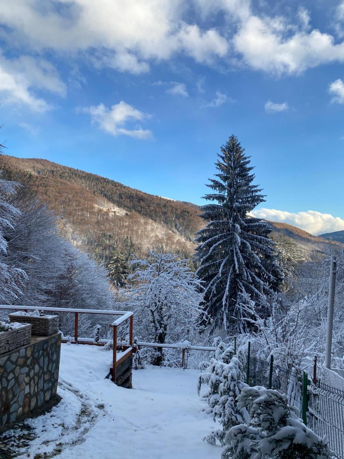 Villa Stone House Sinaia Exterior foto